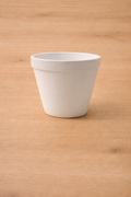 Plant Pot