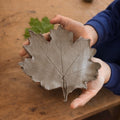 HIBPS Pottery Painting Club HALF TERM (7 weeks)